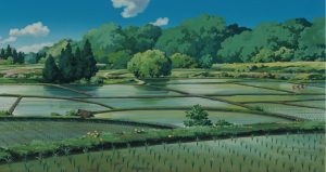 rizières - Miyazaki - Tonari no Totoro